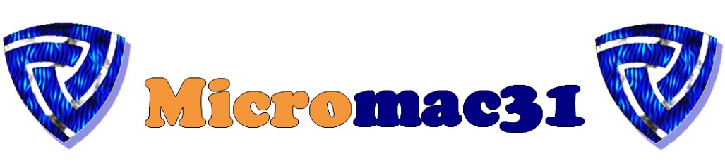 Micromac31